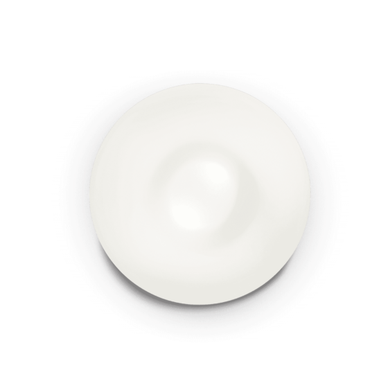 Plafoniera GLORY  E27 max 2 x 60W