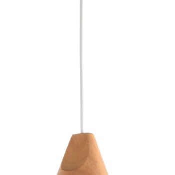 Pendant Lamp P359-PL-01-W
