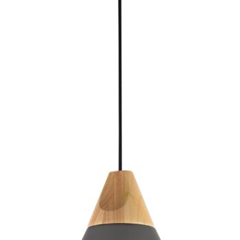 Pendant Lamp P359-PL-220-C
