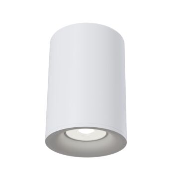 Ceiling luminaire C012CL-01W