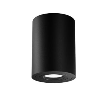 Ceiling luminaire C016CL-01B