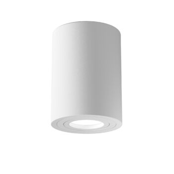 Ceiling luminaire C016CL-01W