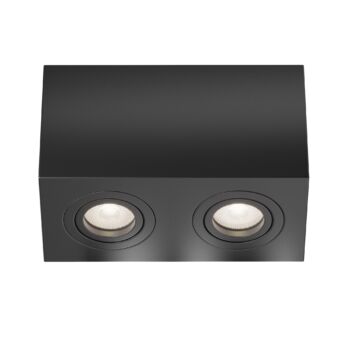 Ceiling luminaire C017CL-02B