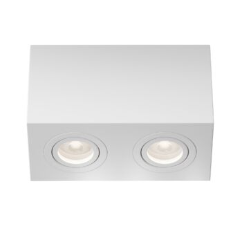 Ceiling luminaire C017CL-02W