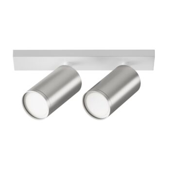 Ceiling luminaire C051CL-U-2WS