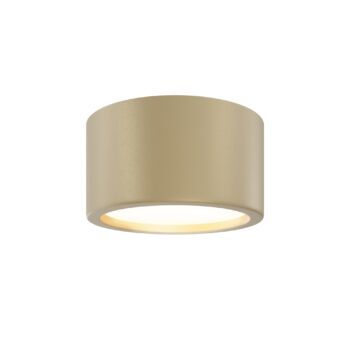 Ceiling luminaire C090CL-15W3K-MG