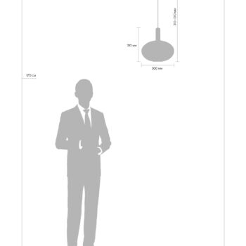 Pendant Lamp MOD124PL-01BS1