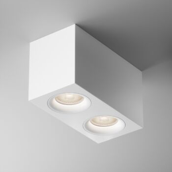 Ceiling luminaire C013CL-02W