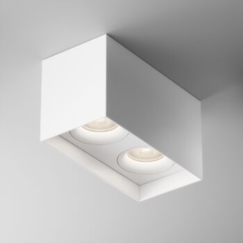 Ceiling luminaire C015CL-02W