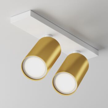 Ceiling luminaire C051CL-U-2WMG