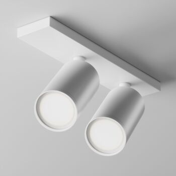 Ceiling luminaire C051CL-U-2W