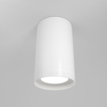 Ceiling luminaire C052CL-01W