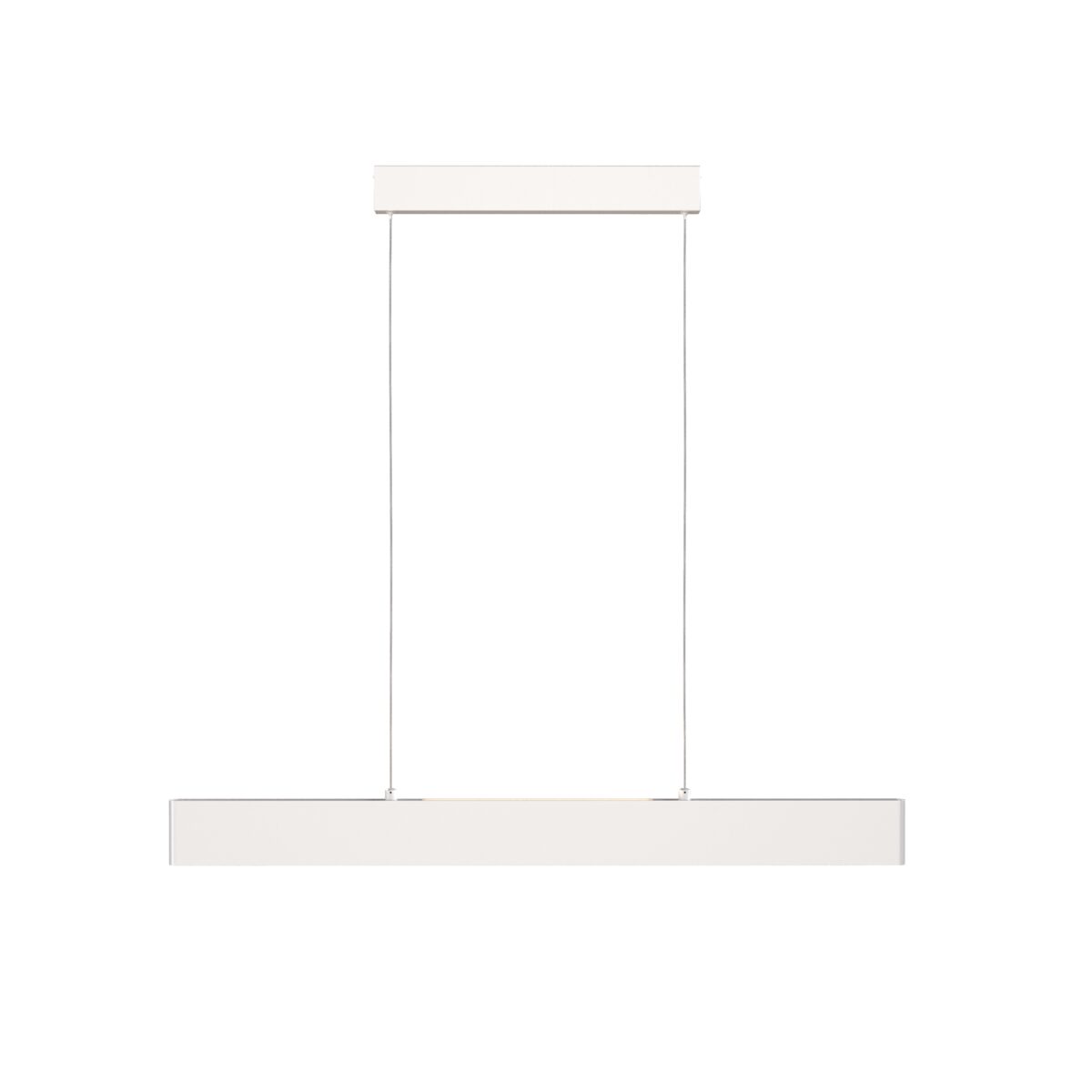 Pendant luminaire P010PL-L23W
