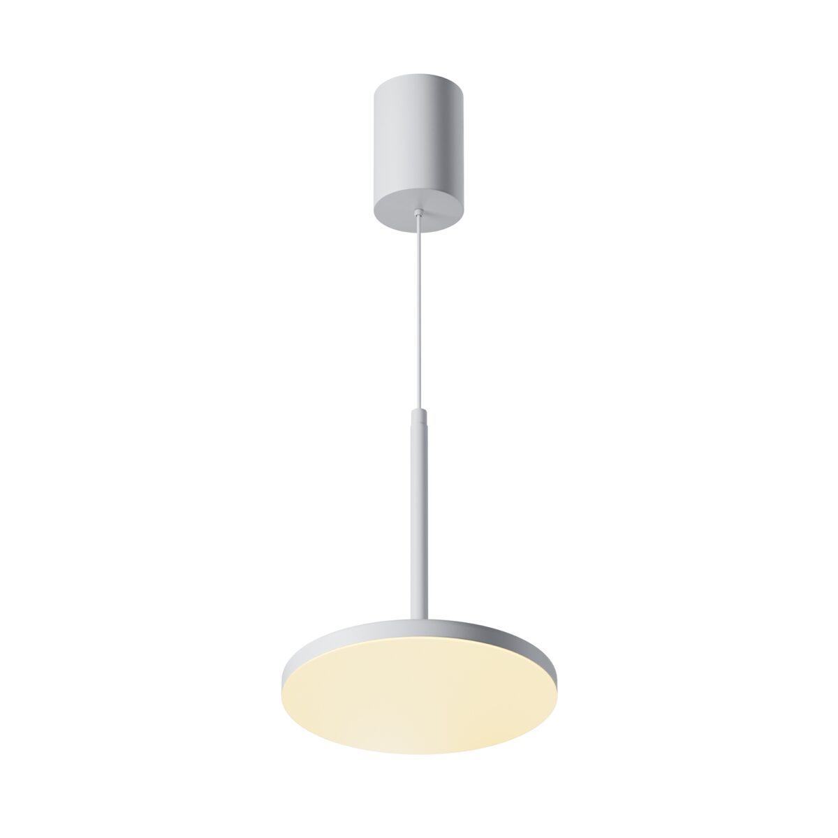Pendant luminaire P076PL-L12W3K-W