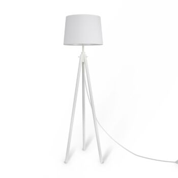 Floor Lamp Z177FL-01W